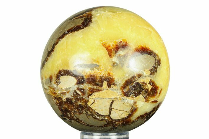 Polished Septarian Sphere - Madagascar #289932